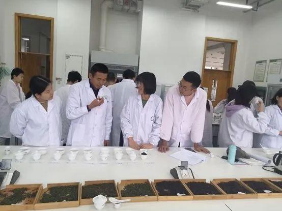 西北農(nóng)林科技大學(xué)解讀:&ldquo;茶學(xué)&rdquo;,是個(gè)什么專業(yè)?